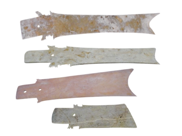 Bộ sưu tập Nha Chương