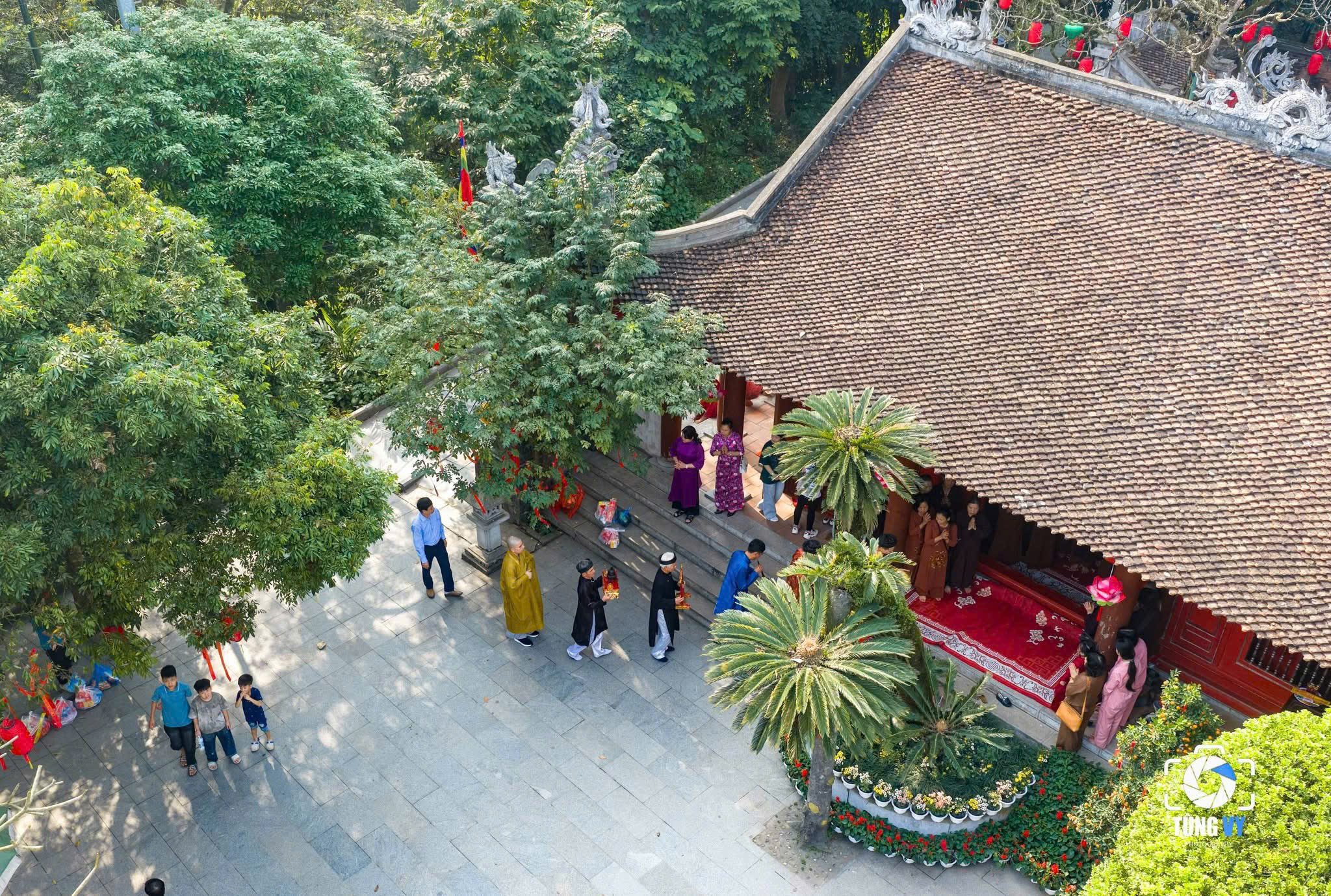 Bạn đừng bỏ lỡ khi đến Đền Hùng: Cây Vạn Tuế hơn 800 năm tuổi tại chùa Thiên Quang