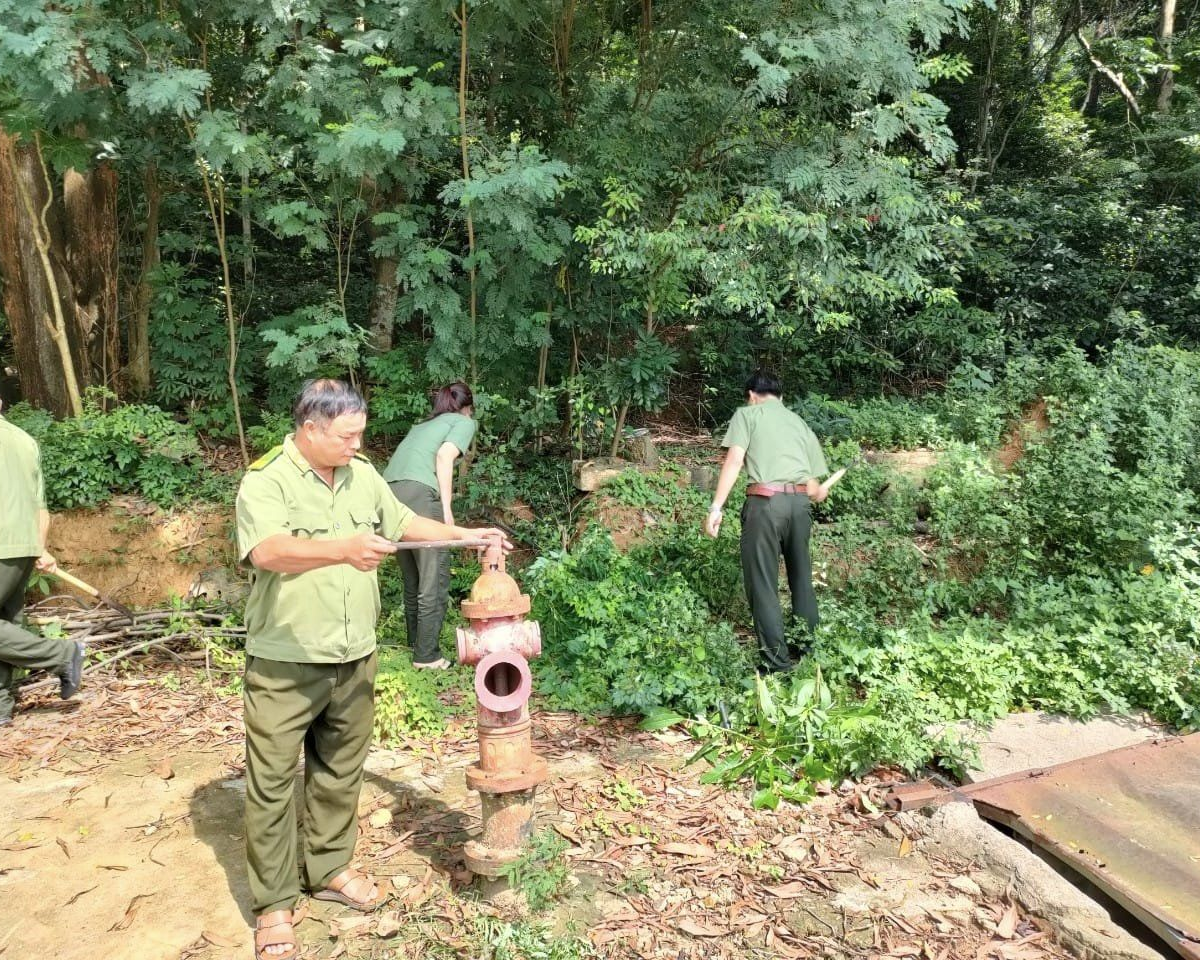 Công tác phòng, chống cháy rừng tại Khu di tích và Rừng Quốc gia Đền Hùng