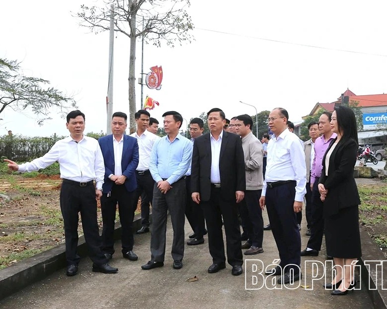Đền Hùng sẵn sàng cho lễ phát động "Tết trồng cây" xuân Bính Ngọ 2026