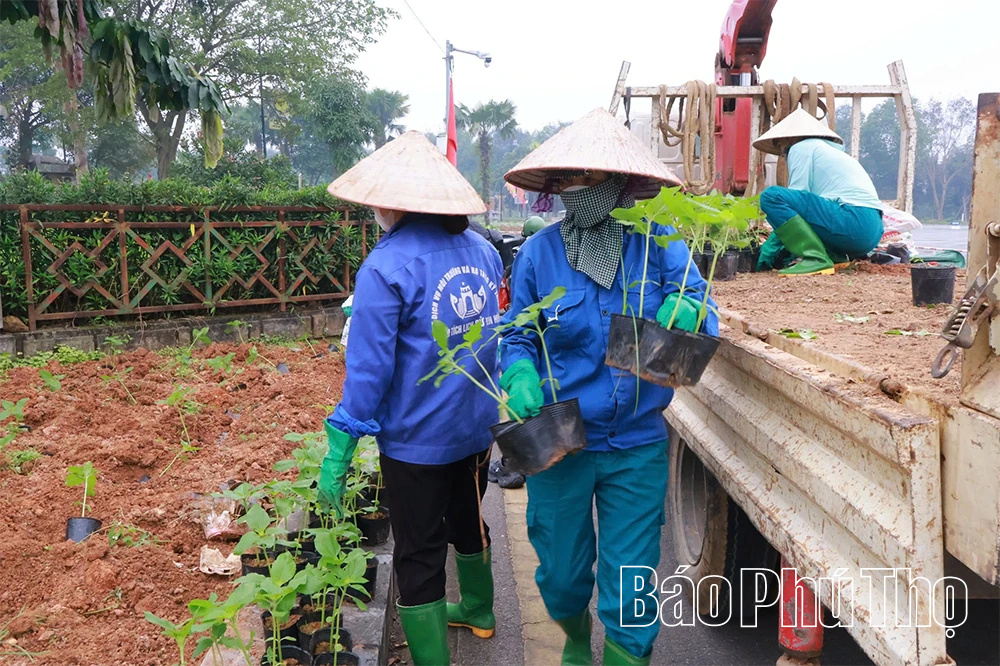 Trồng hơn 90.000 cây hoa trang trí phục vụ lễ hội Đền Hùng 2026